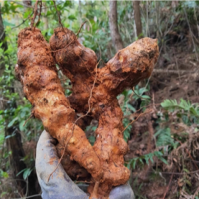 娄底贸易公司的行业动态