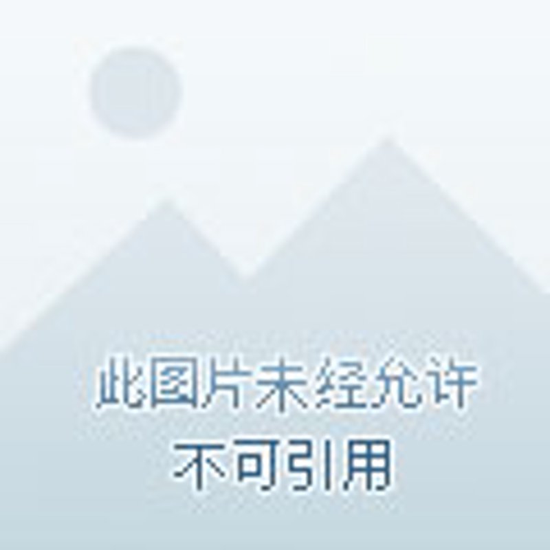 湖南娄底商贸:现代市场的活力与革新